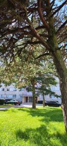 Ventspils Sunshine Apartments