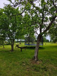 Countryside Glamping by Horse Meadows & Sea only 4 km