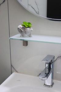 Danys studio central xanthi
