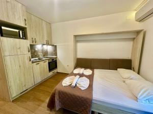 Nice studio with balcony in Cascadas