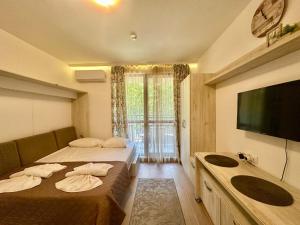 Nice studio with balcony in Cascadas