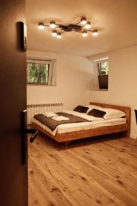 Apartament w Parku 2