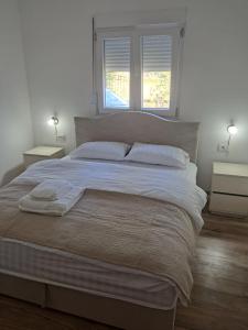 Apartment Nikola R