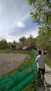 THE WILD ROSE LADAKH homestay
