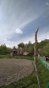 THE WILD ROSE LADAKH homestay