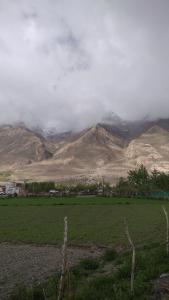 THE WILD ROSE LADAKH homestay