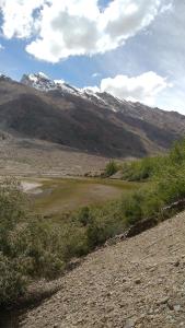 THE WILD ROSE LADAKH homestay