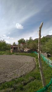 THE WILD ROSE LADAKH homestay