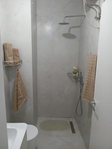 Violetas Apartment Tirana