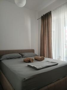 Violetas Apartment Tirana