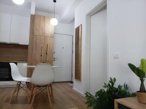 Violetas Apartment Tirana