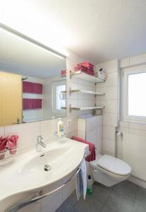 Chalet Alpenheim 1 OG