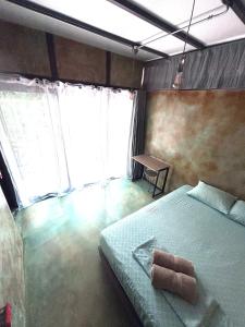 Green TinyHome 1