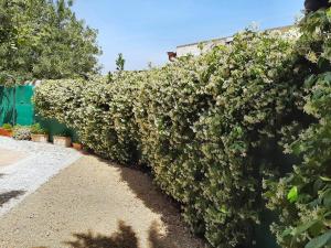 Holiday home in Villa with large terrace and garden