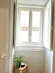 Charming Flat in Pretty Praça das Flores 2 bedrooms