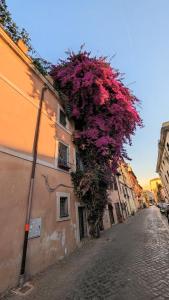 The Jaguar House Trastevere