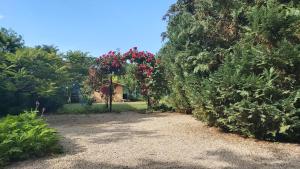 Hajnalcsillag Apartman