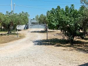 La Gleba