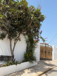 Casita doble San Enrique