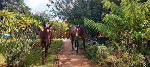 Domaine du Carrousel