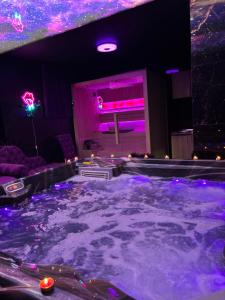 Flex Lux Spa Apartment Belgrade with Jacuzzi Sauna