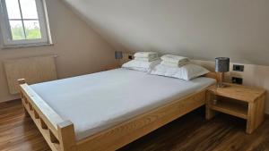 Tang Guesthouse