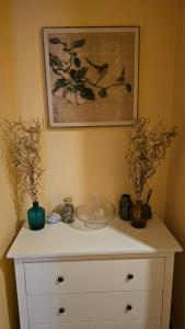 Tang Guesthouse