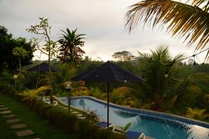 De Sila House and Pool