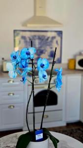 Casa Limoeiro - Elegance and Comfort in Luz, Lagos