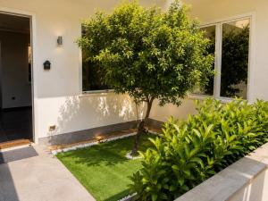 Mondello - Beach Apartments