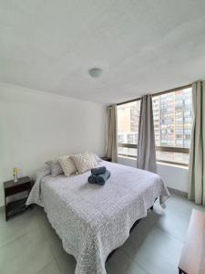 Downtown Apartment in Santiago Chile