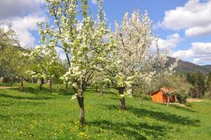 Apartma Lesjak - pobeg v naravo 2
