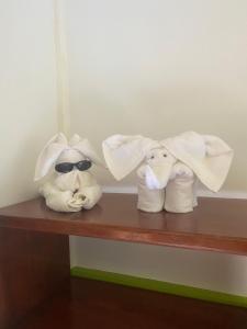 Residencia Gemma
