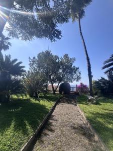 Perla vista mare
