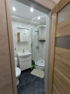 Apartament near Katowice airport