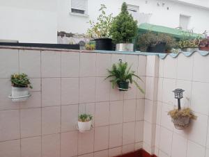 Casa Oskar