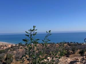 Berber Escape Taghazout Ait Bihi Garden Pool