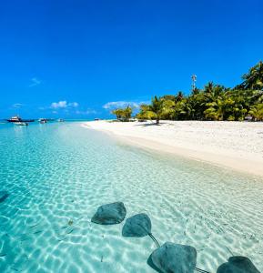 Dhonveli Stay Fulidhoo