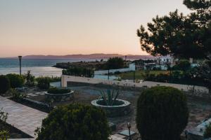 Amalia House Garden