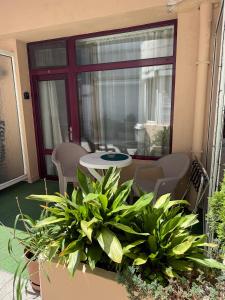 Hotel Acropolis