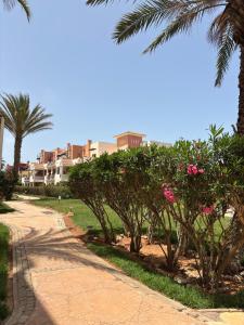 Beautiful apartment saidia