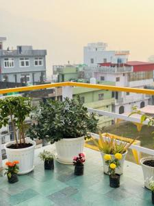 Happy Homes by Yoga & Smiles