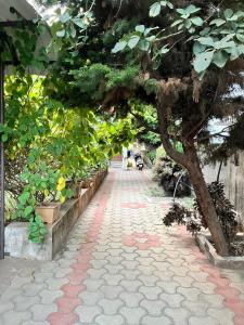 Peaceful,Comfortable and Reguvenating Stay