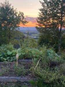 Farmstay im Romantischen Tiny House