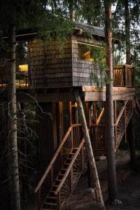 Lootvina Houses - Luxury treehouse withmodern amenities