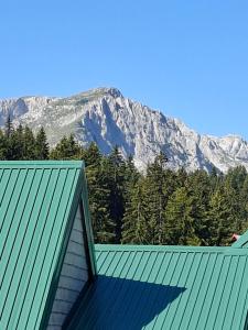 Apartman Durmitorski kutak
