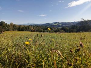 Tiny House s výhledem na Krkonoše a Jizerky