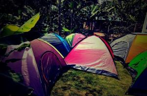 Kilimanjaro Forest Lodge and Camping Site