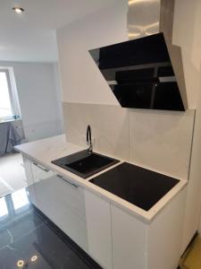 Luxury Apartment