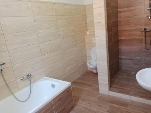Apartmán Netolice
